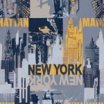 newyork03_51.57.2_