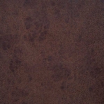 bark brown
