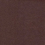 Borneo Brown
