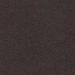 Borneo Umber