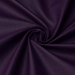 Carnaval-Plum