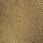 Cobra Beige