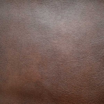 west_umber